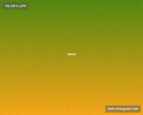 女排对土耳其队